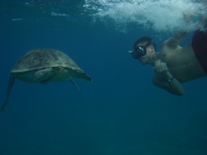 Dominik mit Schildkröte