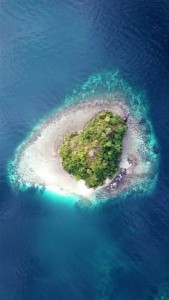 Urwaldinsel von der Vogelperspektive aus fotografiert